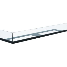 Стекло декоративное для биокамина Delta L/900